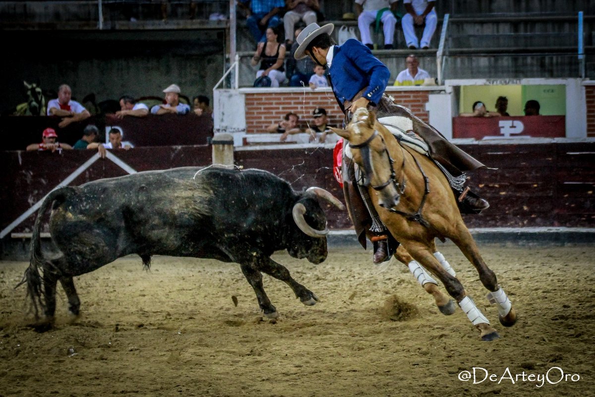 burladerotv's tweet photo. FOTOGALERÍA de la segunda de San Sebastián de los Reyes por David Checa @dearteyoro @ruidfernandes @Andy_Cartagena @SGalanOficial #SanSebastianDeLosReyes https://t.co/uP10CSkfIW https://t.co/7kwZ5ASFJS