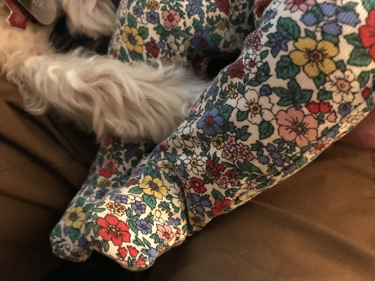 HOLDING PAWS WITH MY BABY SISTER. SHE GOOD GIRL.