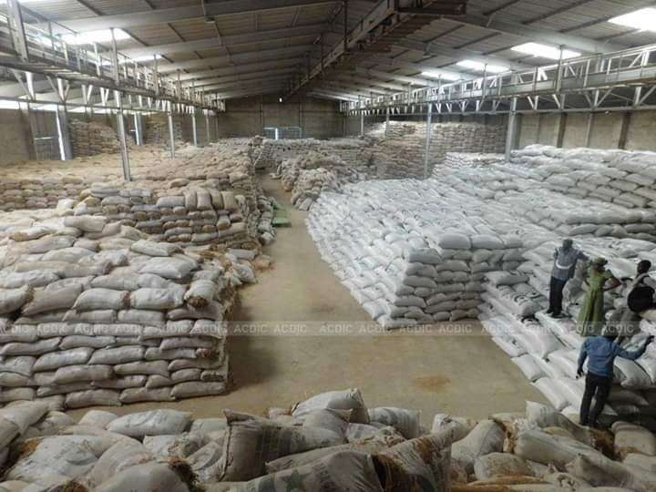 ArFopa's tweet photo. Du riz Paddy de Yagoua, Maga. Stocks dans les magasins sans preneur à cause d'une importation sauvage et cruelle du riz asiatique https://t.co/2g9FTIuYQs