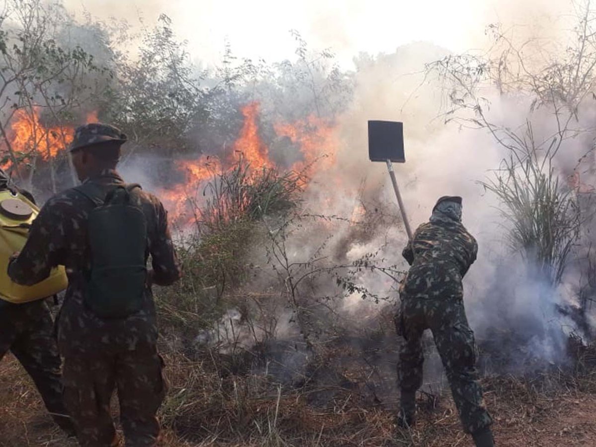 Militares do Exército Brasileiro acabam com focos de incêndio em Altamira, Itaituba e regiões adjacentes dlvr.it/RC7PZH