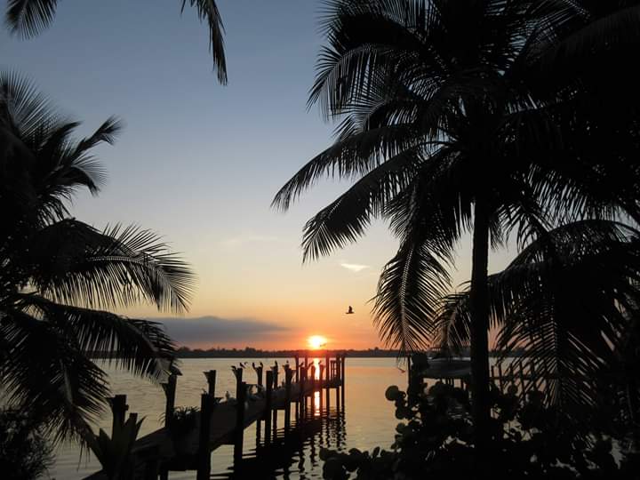 VivaSarasota's tweet photo. #SiestaKeySunrises #ThanksCharlie #VivaSarasota @wfla @SNNTV @mysuncoast #WFLA #SNN #MySuncoast #LoveSrq #LoveFL #LoveSK #SharetheLoveSrq #SharetheLoveSK #Sarasota #SarasotaFlorida #Srq #SK #SiestaKey #SiestaKeyBeach #Live941 #4Srq #4Sarasota #GoodMorningSrq #GoodMorningSunshine https://t.co/mZAJ1wecvm