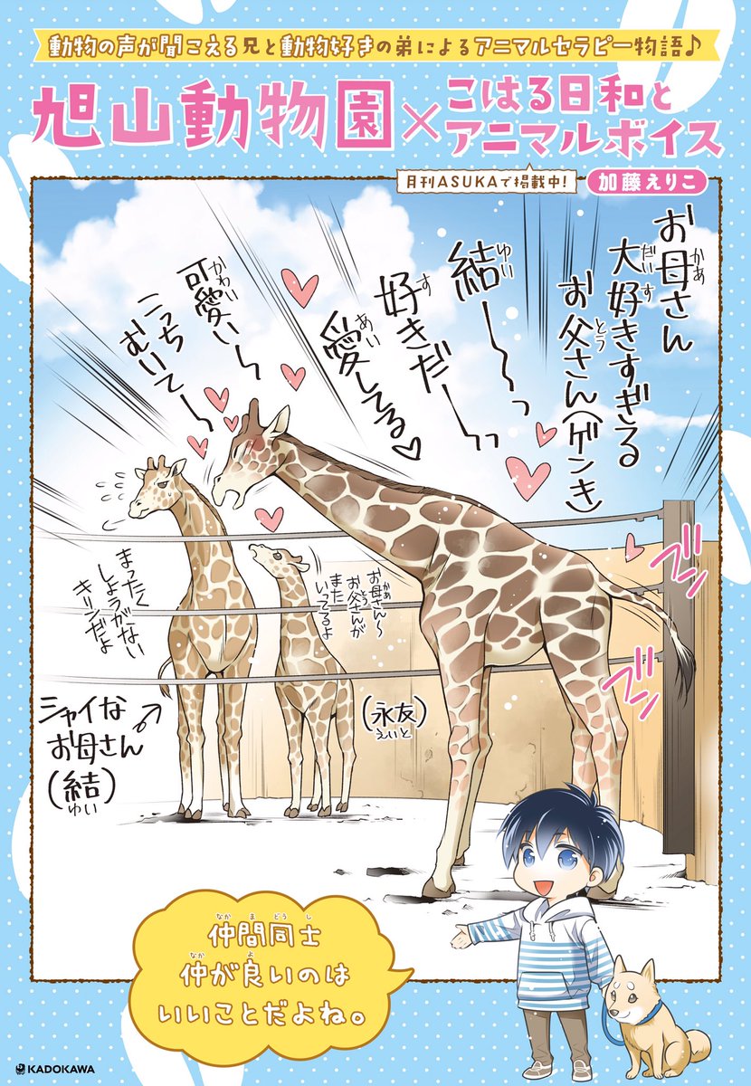 あすか編集部 旭山動物園 こはる日和とアニマルボイス 加藤えりこ先生描き下ろしの旭山動物園にいる動物のイラストを公開します 第1回は アミメキリン 旭山動物園内でも展示しています コラボ詳細はこちら T Co Zpdaj29lhk あすか編集部 旭山動物園 こはる日和とアニマルボイス 加藤えりこ先生描き下ろしの旭山動物園にいる動物のイラストを公開します 第1回は アミメキリン 旭山動物園内でも展示しています コラボ詳細はこちら T Co Zpdaj29lhk