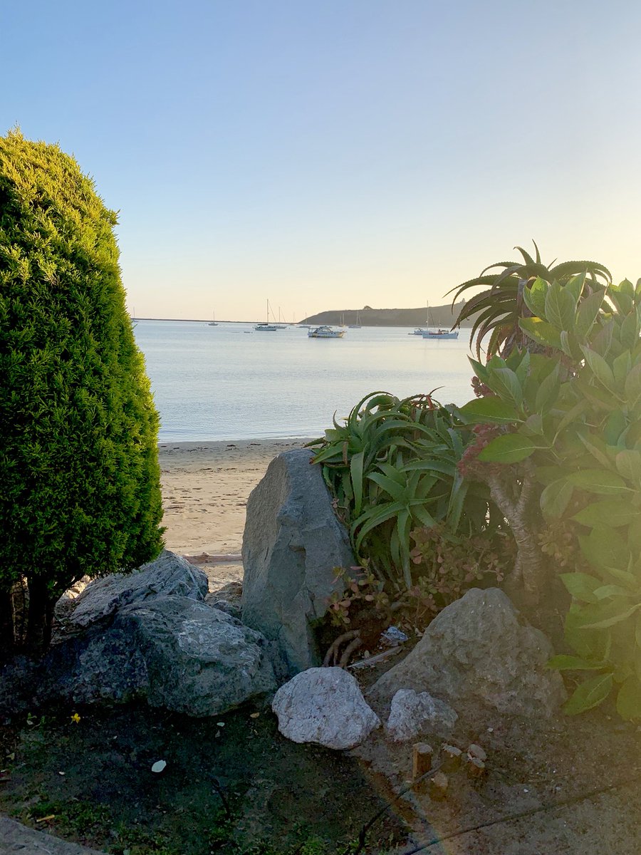 macymay_5's tweet photo. The views I’ve been getting.🌴☀️🌊 https://t.co/shs8MmOvQE