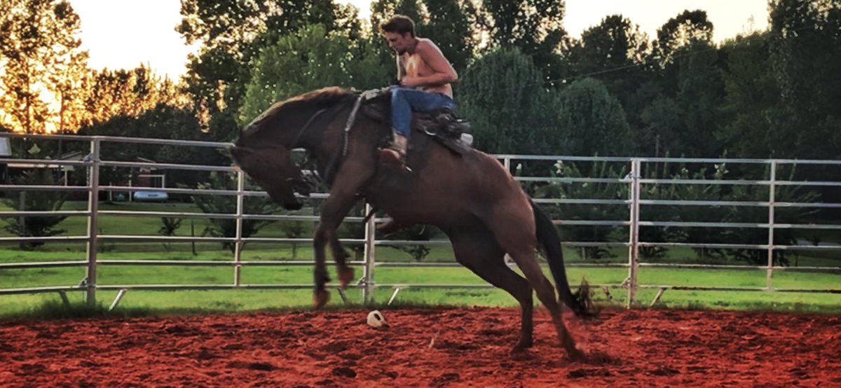 peytonpenson's tweet photo. Yo at least my horse breaks at the poll👌🏽 https://t.co/PvHT2yVvpD