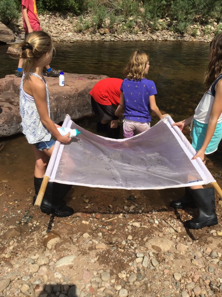 view beginning autocad 2004 first