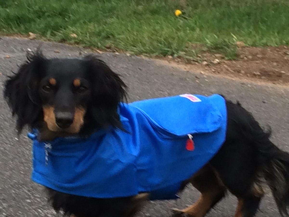 Don't Fall Into The Rental Trap Denver - 2019

soldbyreilly.com/2019/08/29/201…