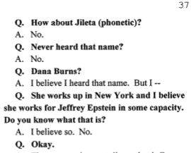 In the Maritza Vasquez depo, she believes Dana worked for Epstein in some capacity.