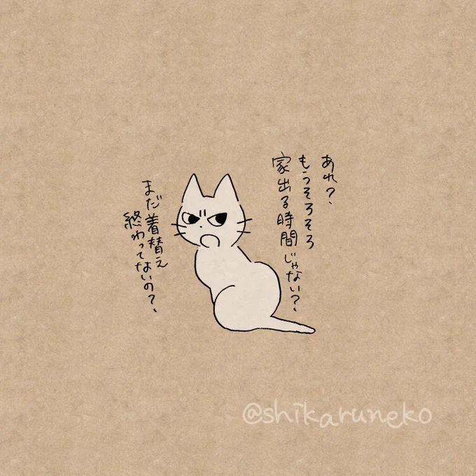 服が決まらず遅刻しそうになる人を叱ってくれる猫 
