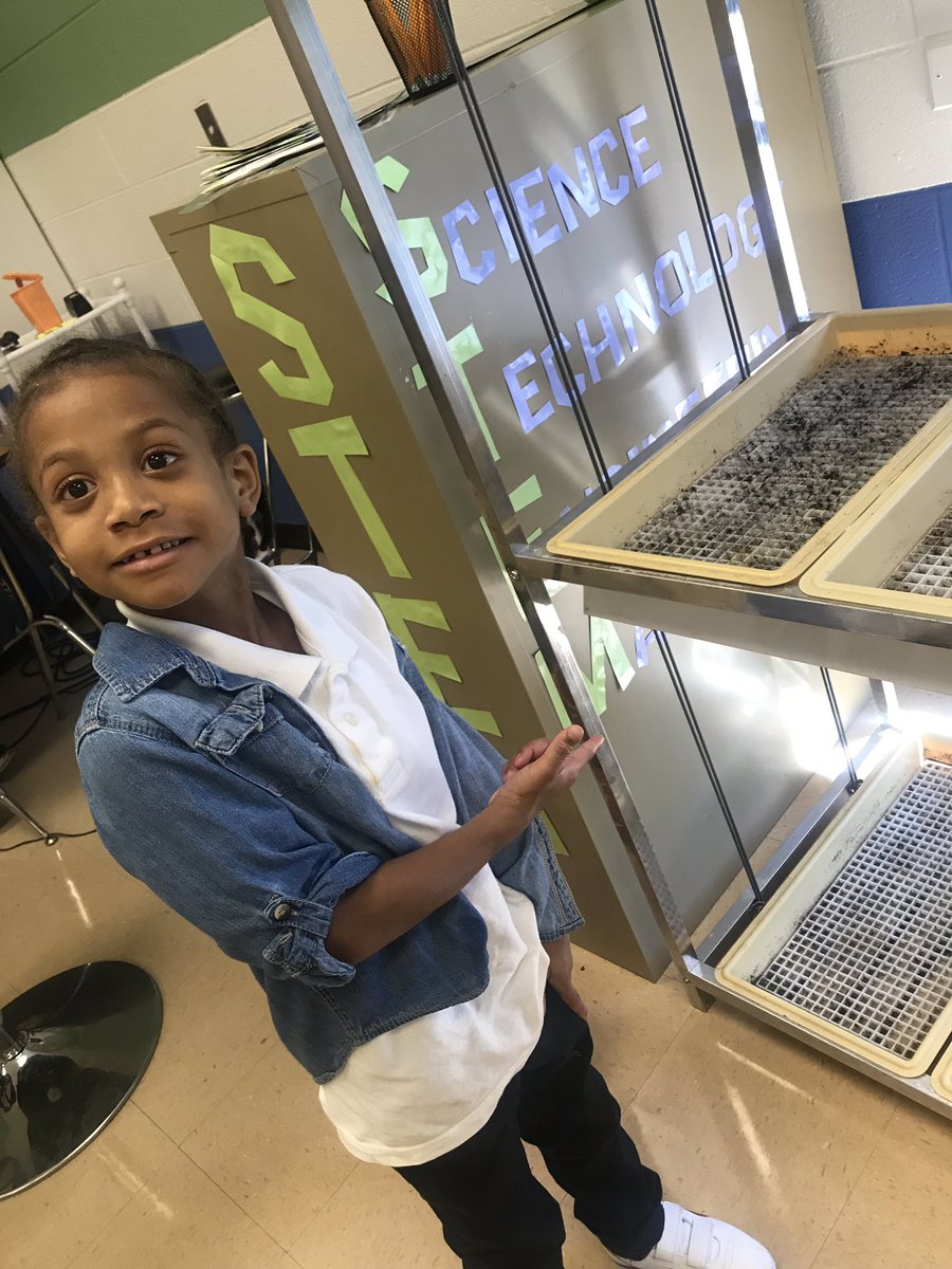 missoneals's tweet photo. Shouts out to @valerie27703241 for our awesome first visit of the school year in our STEM lab!!!! Amazing @ecwestwildcats #stemschool #epicatwest #firstgraderox https://t.co/cToEcbuSgF