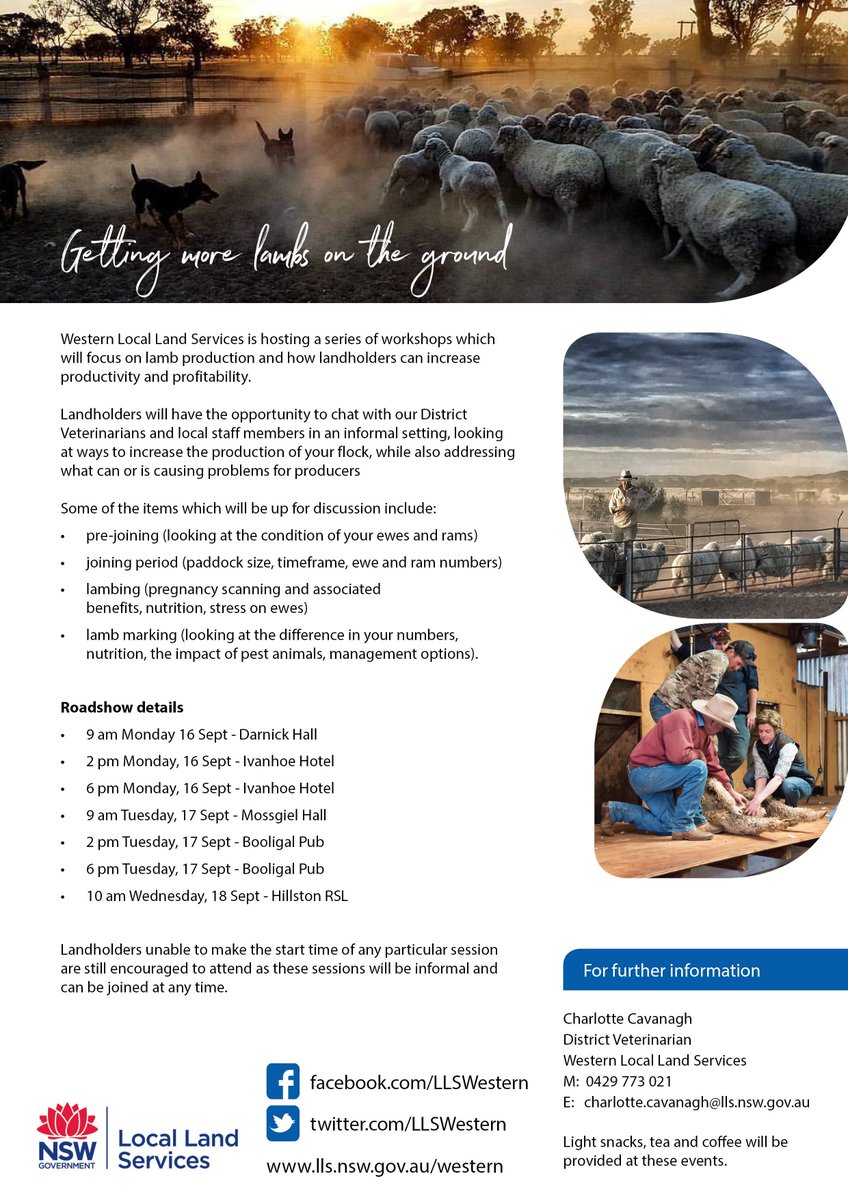 LLSWestern's tweet photo. Come and see our #Vets and local #Ag and #Bio team members at one of the upcoming workshops in #Darnick, #Ivanhioe, #Mossgiel, #Booligal and #Hillston. #MoreLambsOnTheGround https://t.co/IdDWJeZ1wz