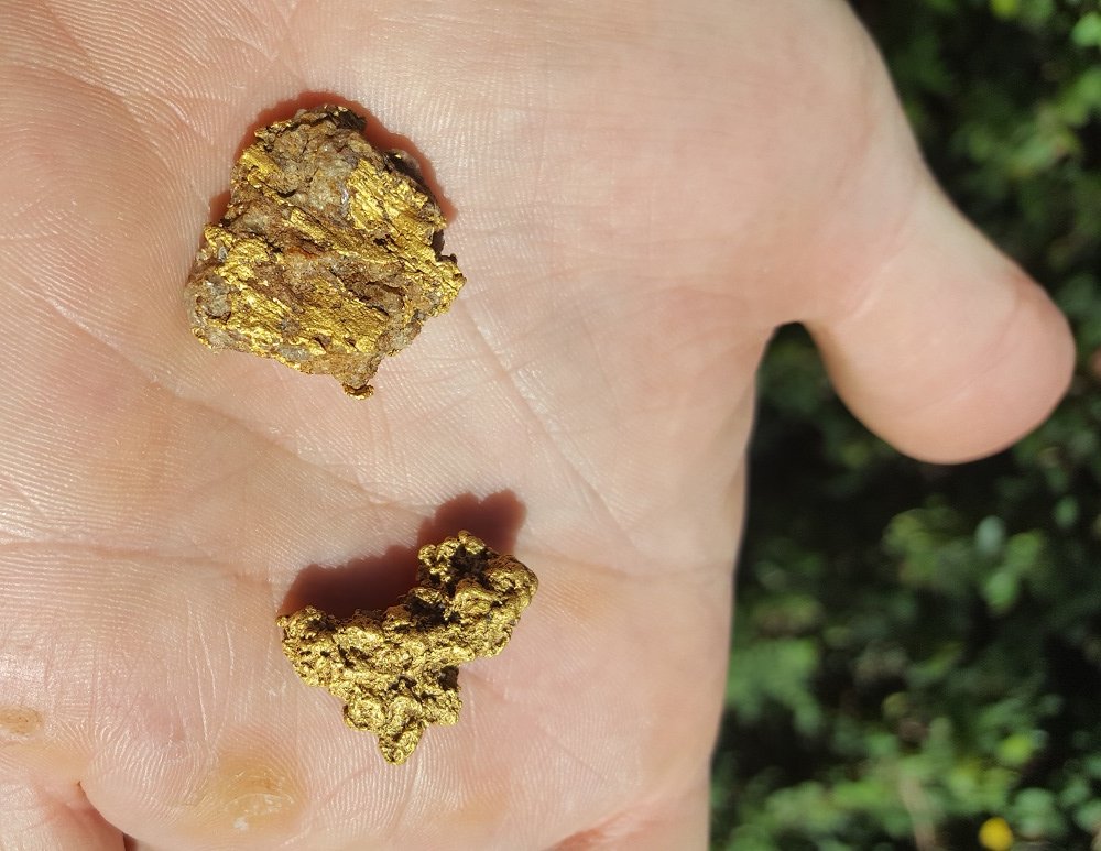 AZOutback's tweet image. An AZO customer just detected these beauties in California. He found them using the Minelab GPX 5000 with a Nugget Finder 15” Evolution Coil. Total weight was 25-grams, with the biggest piece weighing in right at a half ounce.  Congratulations to this hardworking prospector!