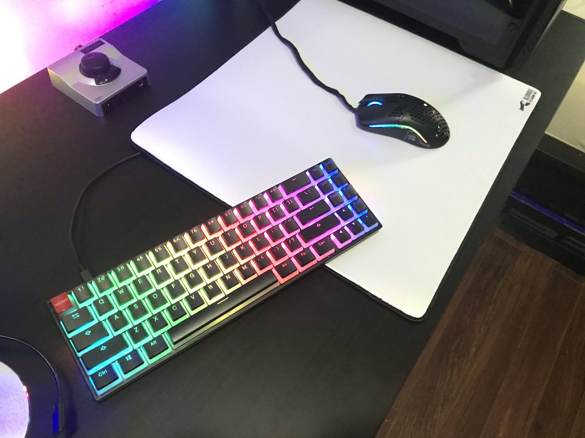 GLORIOUS tweet media