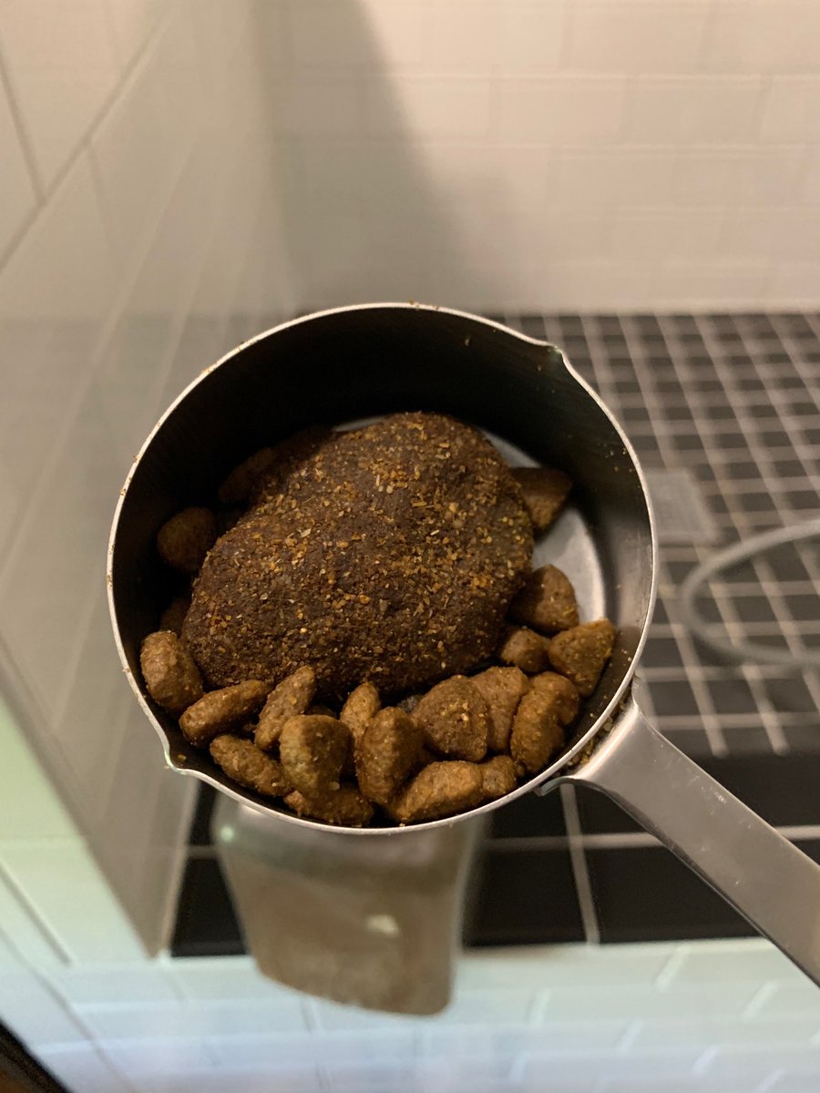 ⁦<a href="/bluebuffalo/">blue buffalo</a>⁩ ?!????