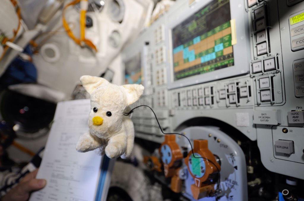 The last before-start tradition is to have a Zero-G indicator. It's a little toy on a chain that helps to understand when the ship reaches the orbit, but it also remains the cosmonauts of what they love most. I don't know who started this tradition, but it's cute.