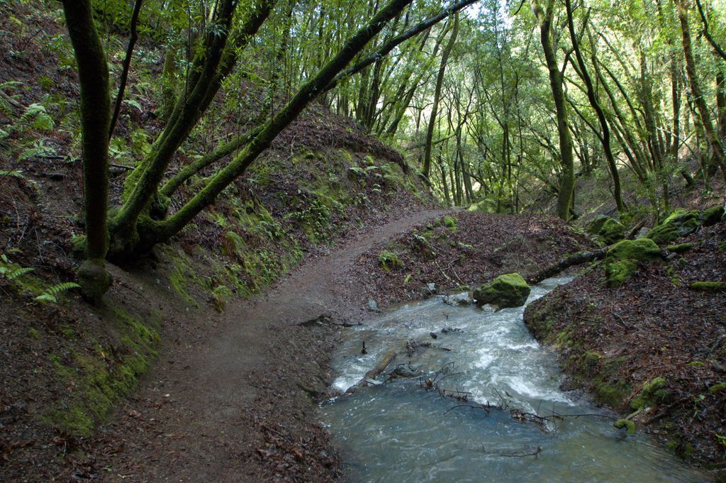 Hidden Villa tweet media