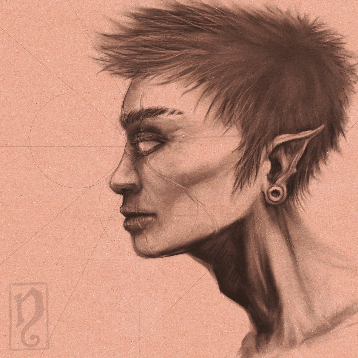 LuckyCrowTweets's tweet photo. Fantasy portrait from my imagination. #elf #fantasyart #art #drawing #digitalart #procreate #illustration #portrait #fantasy #scar #darkart #ipadart #conceptart https://t.co/1l8ODgSVWg