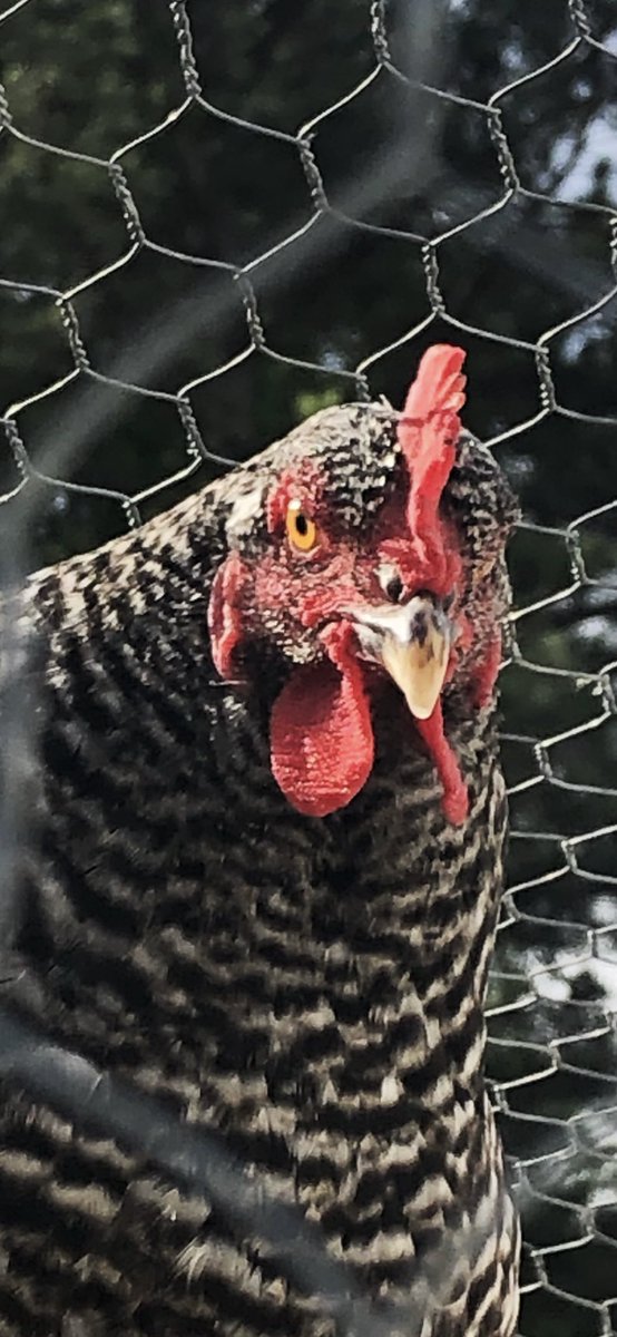 My face when people forget to put their name on their order.. eggggstra upset