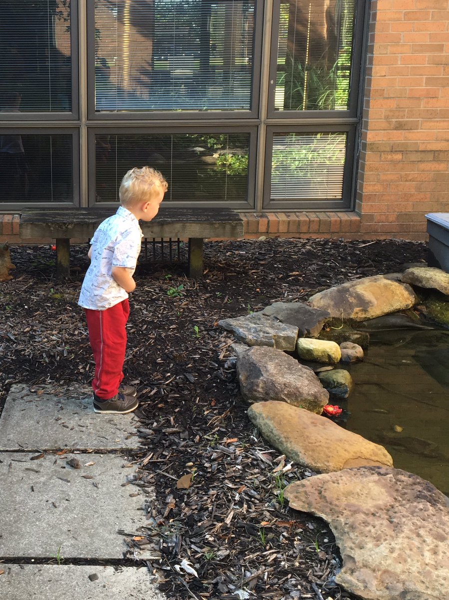 GracieGuagenti's tweet photo. We’ll find those sneaky turtles 🐢 someday #itsworthit #SutterMonarchs https://t.co/u7U8hdPbvh