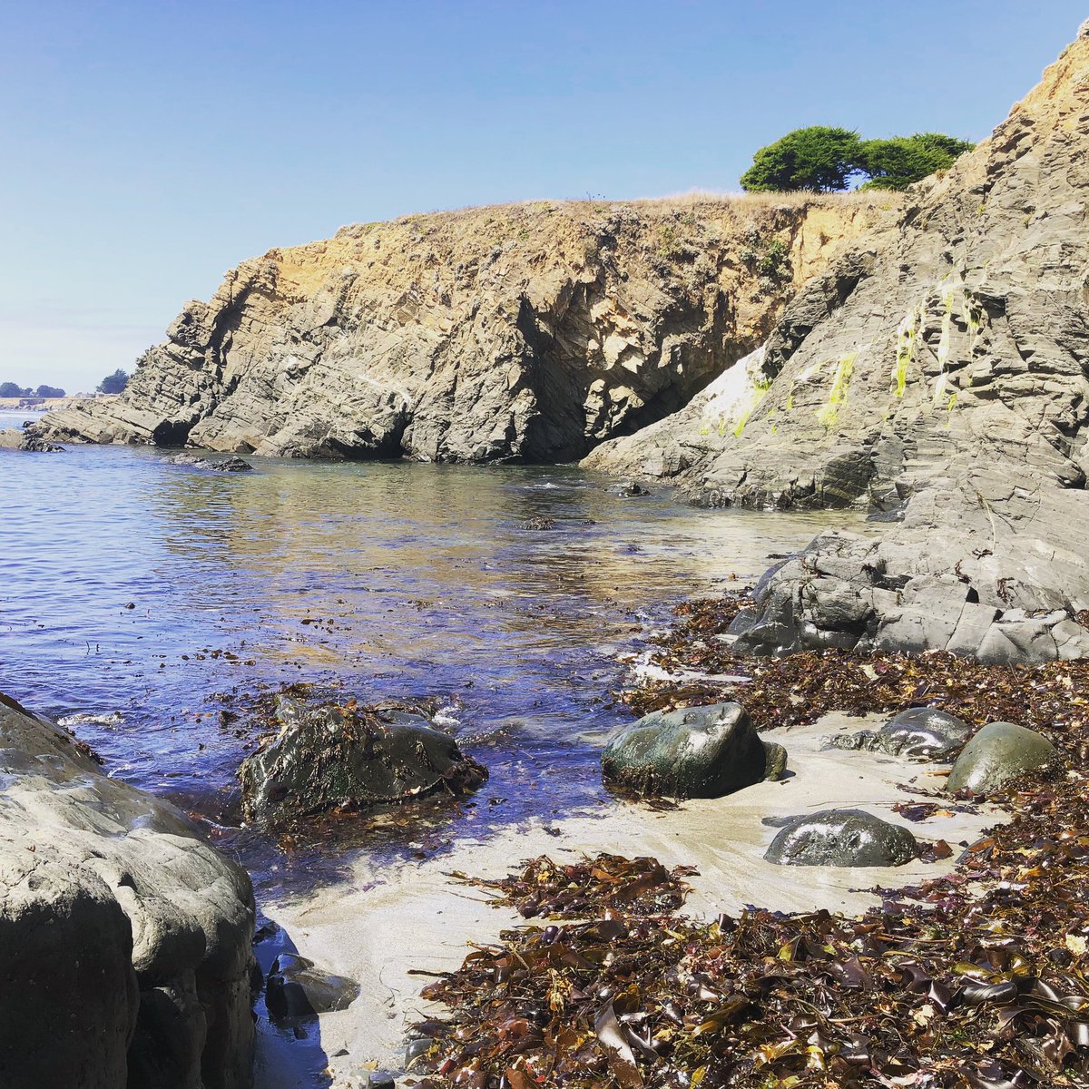 PastorAmyButler's tweet photo. So much beautiful. #AnotherOcean https://t.co/qwXCpQwBRn