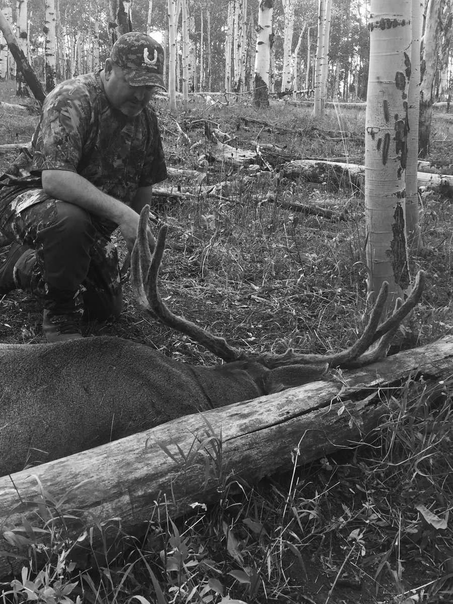 discodantheman's tweet photo. Utah tomorrow.The natural world is rich in meaning &amp; wisdom.True insight.Heart, mind, soul, instinct will all come into play in the days to come. This is what makes hunting true, honest and meaningful. #muledeer #hunting #heritage #huntutah #FaithInNature #meaning https://t.co/hcXegui3cS