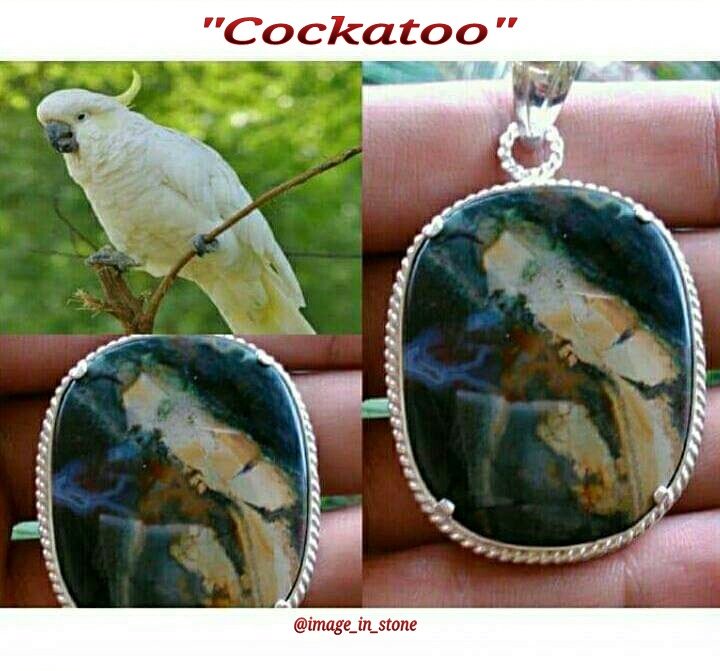 pictureinstone's tweet photo. Natural Picture Jasper 
 --- The One and Only 
--- Painted by Nature 
 -- Uniqueness do Count

#picturejasper #gemstone #bird https://t.co/jQnO84f36r