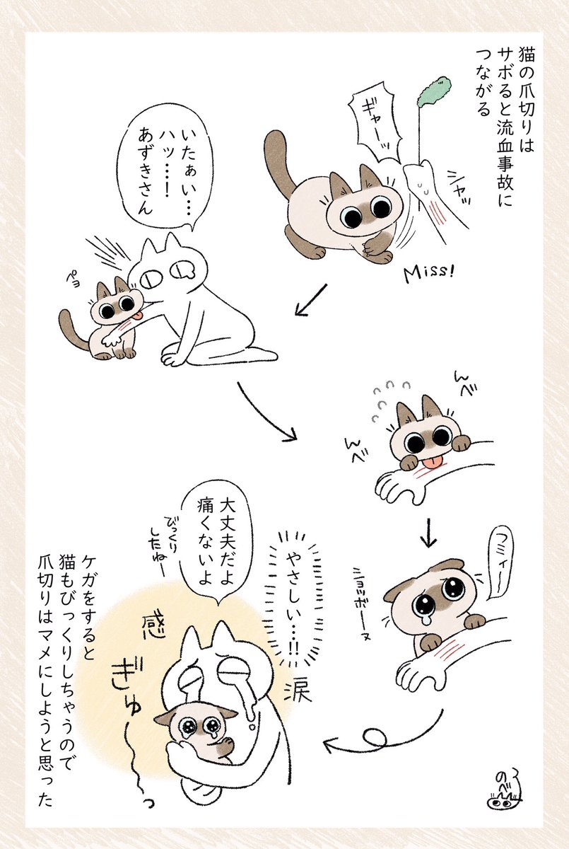 ねこ引っかき傷を甘く見ないこと #ねこ日記 