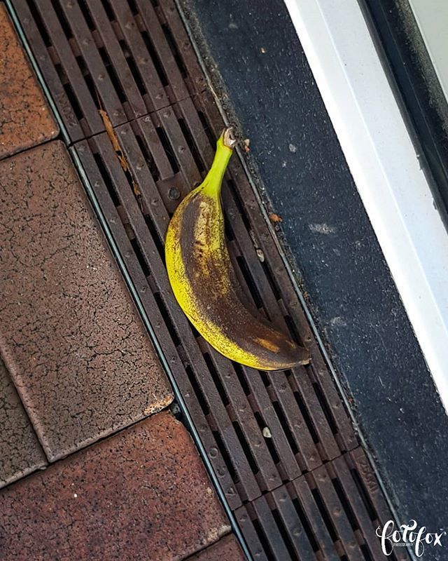 Some days you feel like a street nana. Literal street food. .
.
#choicesweremade #streetbanana #ig_newzealand #wellingtonlive #wellingtoncity #NewZealandwithme #wellington_newzealand #oddphotos #foodphotography #food #culinaryphotography #culinaryarts #b… ift.tt/2Zy8jpr