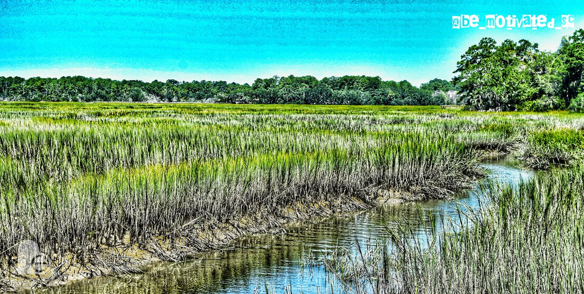 be_motivated_sc's tweet photo. #shooter #shootersshoot #nature #sky #beauty #lowcountry #itscalledart #artislife #sharingiscaring #yourrelease #bemotivated #livehappy #WITwhateverittakes #goodvibes https://t.co/GbboUE7DSV