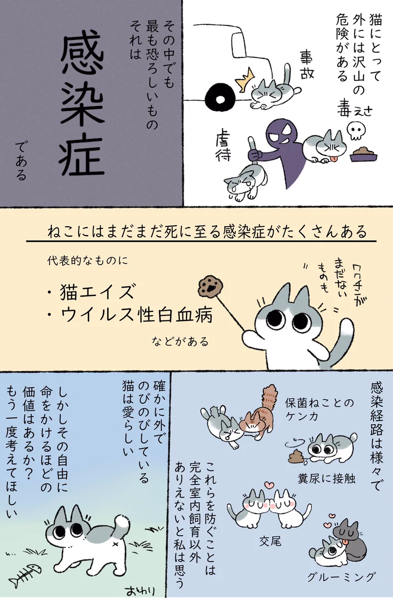 外に出たらこんな危険があるんだよ・・・猫を飼っている人に知ってもらいたい・・・