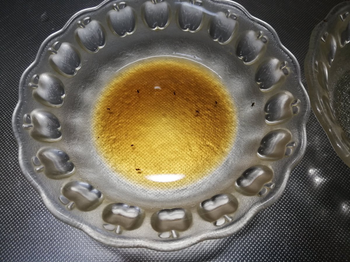 ざっきん コバエごときに極力金をかけたくない ひと晩の駆除成果 めんつゆ 水 食器用洗剤数滴 みりん 食器用洗剤数滴 ハエとり紙でフォロー ビバホームで300円 コバエホイホイよりいいんじゃないか もう少し継続 ざっきん コバエごときに極力金をかけたくない ひと晩の駆除成果 めんつゆ 水 食器用洗剤数滴 みりん 食器用洗剤数滴 ハエとり紙でフォロー ビバホームで300円 コバエホイホイよりいいんじゃないか もう少し継続
