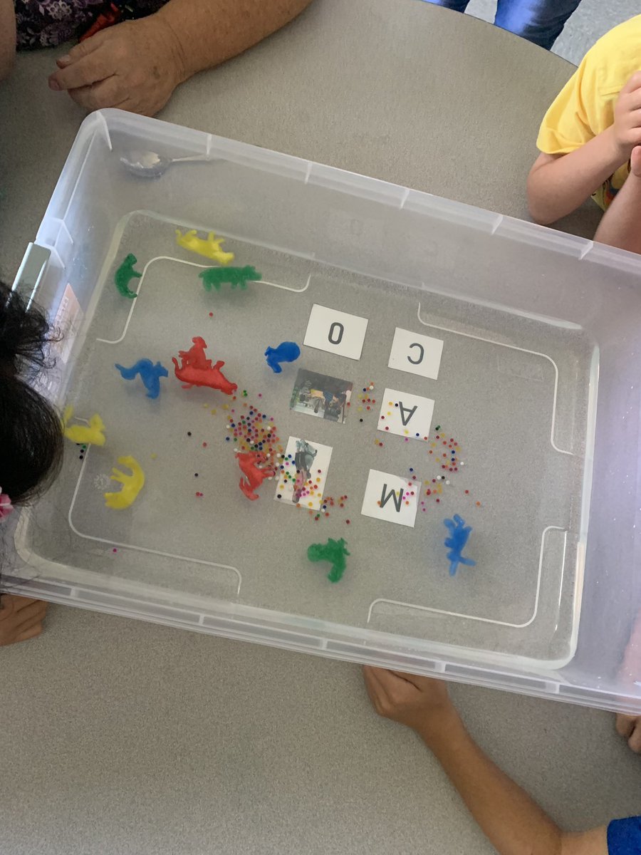 Jaaby259's tweet photo. We love to #Worktogether to be #WPSProud in my classroom! Today In science my students got to explore how things change over time, and interact with their peers! https://t.co/rdhJ6Z4zvL