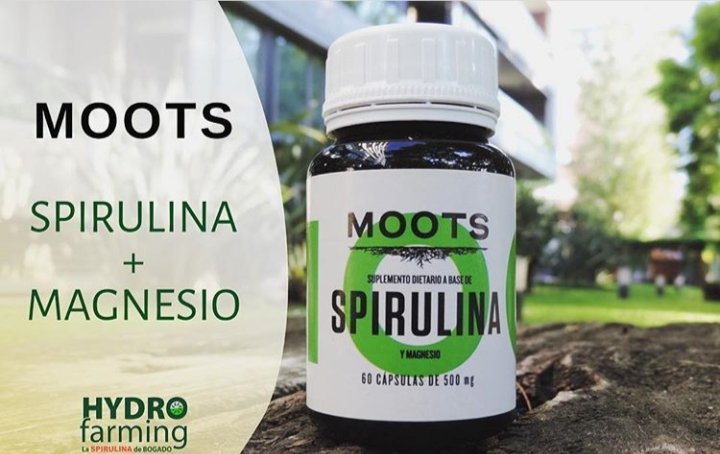 hydrospirulina's tweet photo. https://t.co/rGNfHJxB74