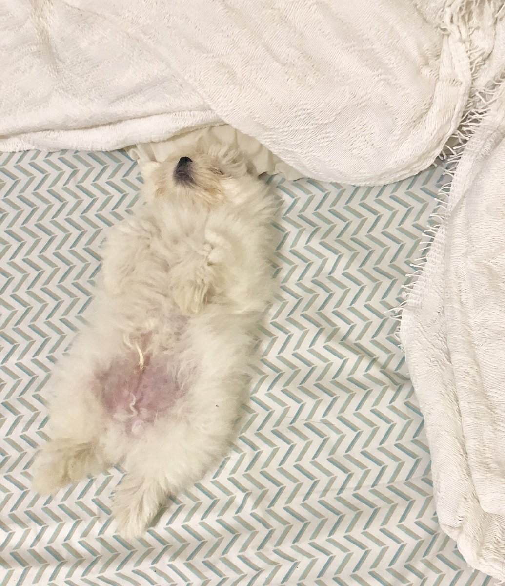 aimeeeable's tweet image. I love you, palangga