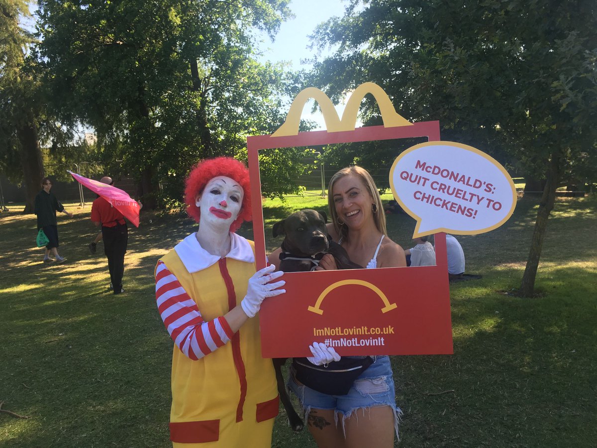 Memsaccoccio's tweet photo. @OfficialRandL @McDonaldsUK *I'm* dreaming of a world without cruelty. @OfficialRandL, I'm appalled that you would support animal cruelty... and yet here you are, tweeting the merits of a company that CONTINUES to raise their chickens in an outdated, inhumane way! #Disappointed #ImNotLovinIt https://t.co/4RLQJB5c8p
