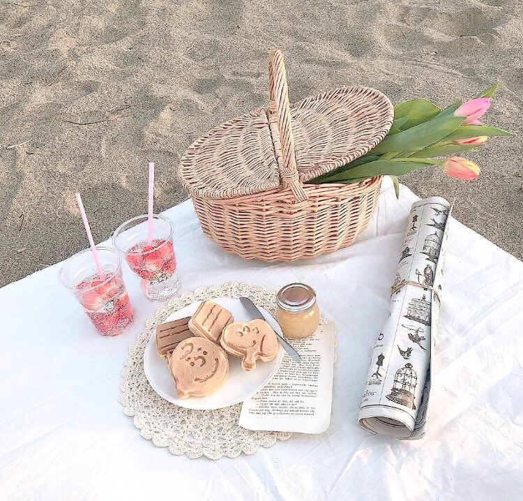 i wanna have a picnic date asap 🧺