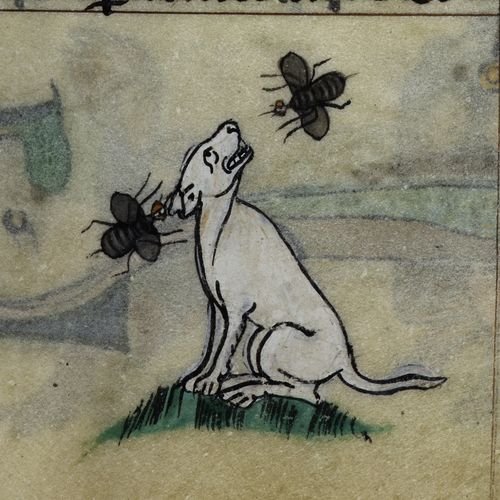 Medieval Manuscripts tweet media