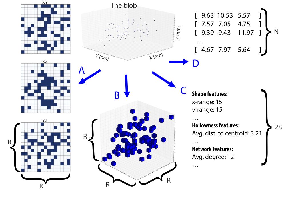 Hamarneh_MIA's tweet image. #PLOS_ONE paper on auto-identification of #biological_structures #caveolae vs #scaffold #Cav1 domains from #Super_resolution #microscopy #SMLM data via #MachineLearning (incl. #DeepLearning #multi_view #CNN #PointNet). Paper: cs.sfu.ca/~hamarneh/ecop… 
Data: doi.org/10.6084/m9.fig…