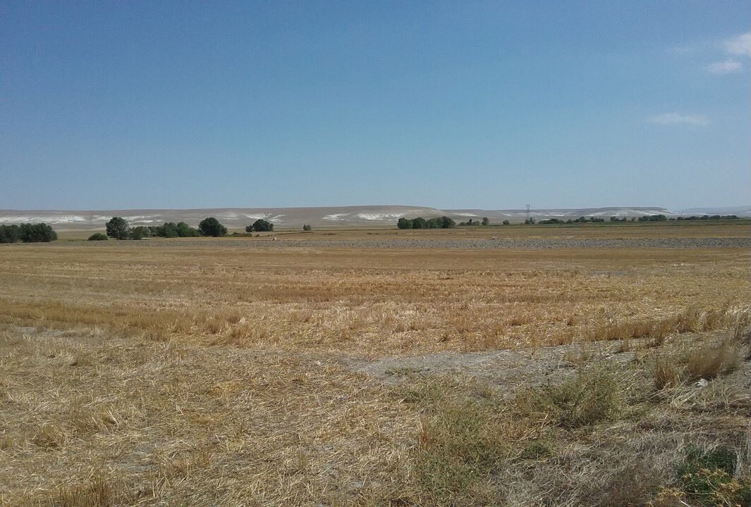 Bu fotoğrafa bakınca ne görüyorsunuz?
Görmediğiniz şeyler de vardır mutlaka.
Daha dikkatli bakın...😉