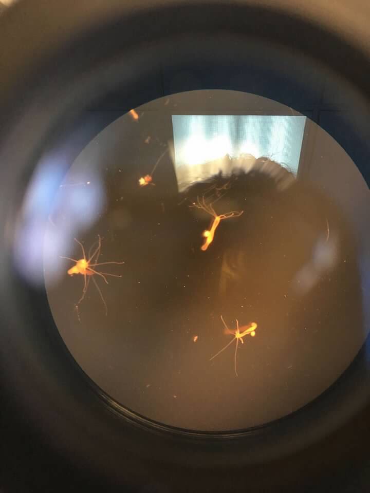 Claire Weckerly tweet media