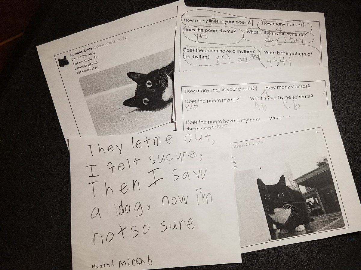 WizardTalbot's tweet photo. Third graders at Newton Elementary (@chartourcourse) were engaged in a fun, real-world analysis of poetry elements today,  thanks to @CuriousZelda! 😄 💚 😸 https://t.co/sNUxpXP1cN