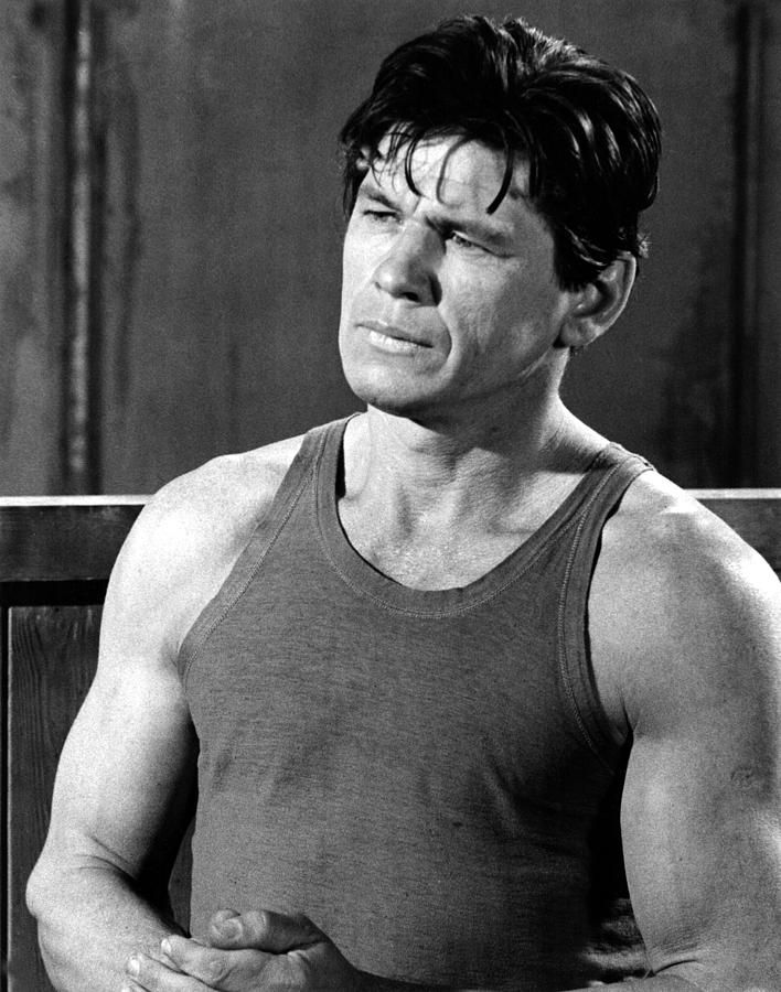 deathbyhibachi's tweet photo. American #actor #CharlesBronson died #onthisday in 2003.

#otd #DeathWish #DeathHunt #MessengerofDeath #TheDirtyDozen #AirForce #purpleheartsforindomy #Bronson #CharlesDennisBuchinsky https://t.co/7vSZCpSLDh