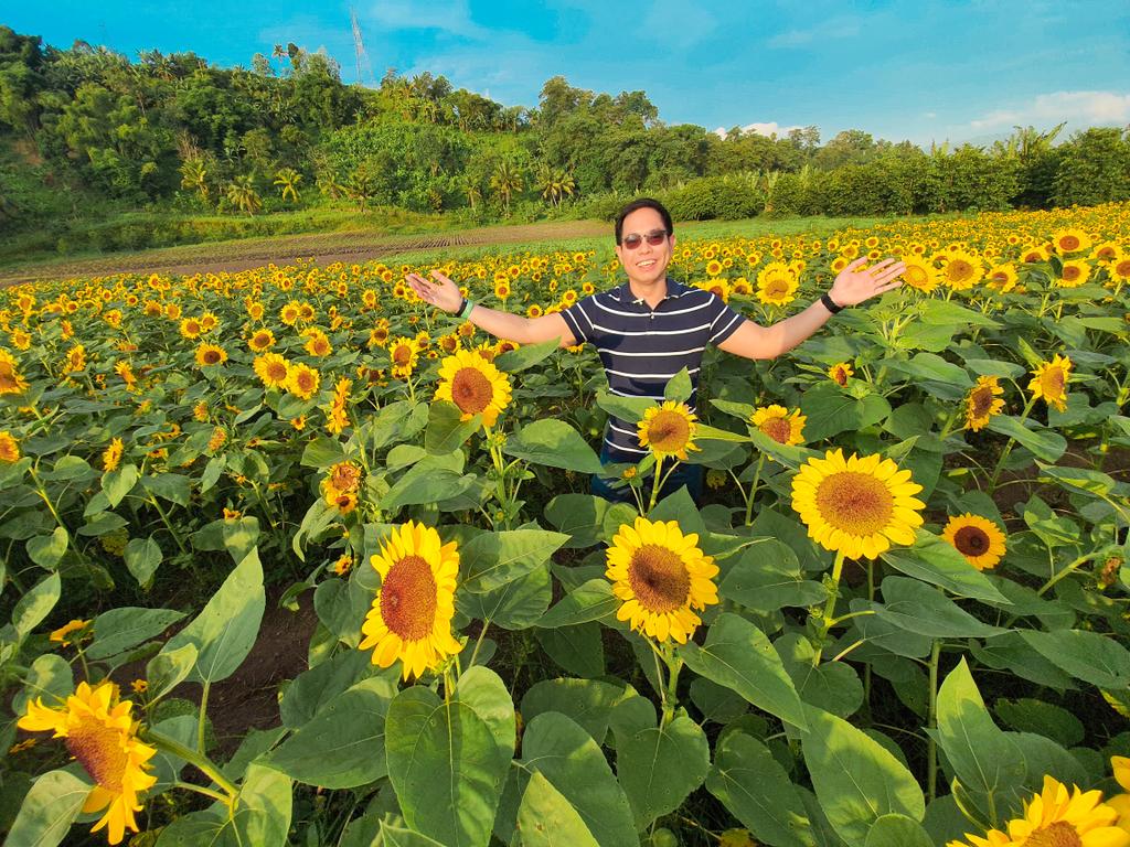 AlbertDomingo's tweet photo. Rise like the sun; bloom in your field. 🌻

(Alt caption: Is it boarding time already? Okay! ✈️)

📷: F. Tanggol
#SoxisNext #VisitSox https://t.co/zzgx4BAQet