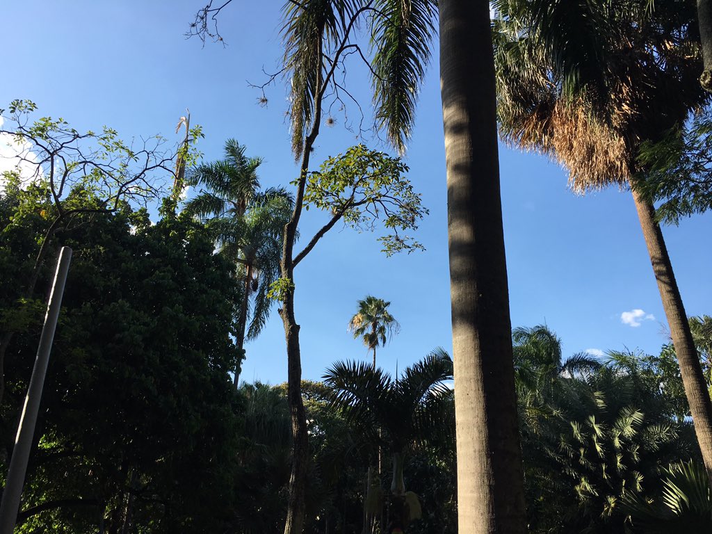 Magnificent Colombia tweet media