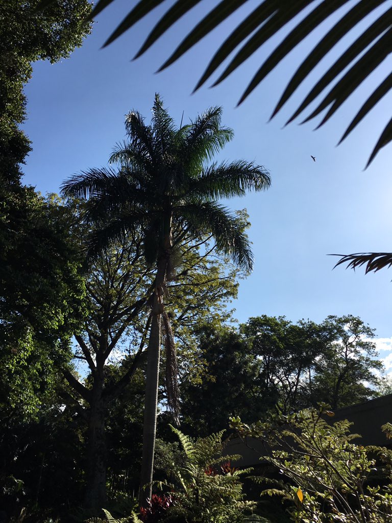 Magnificent Colombia tweet media