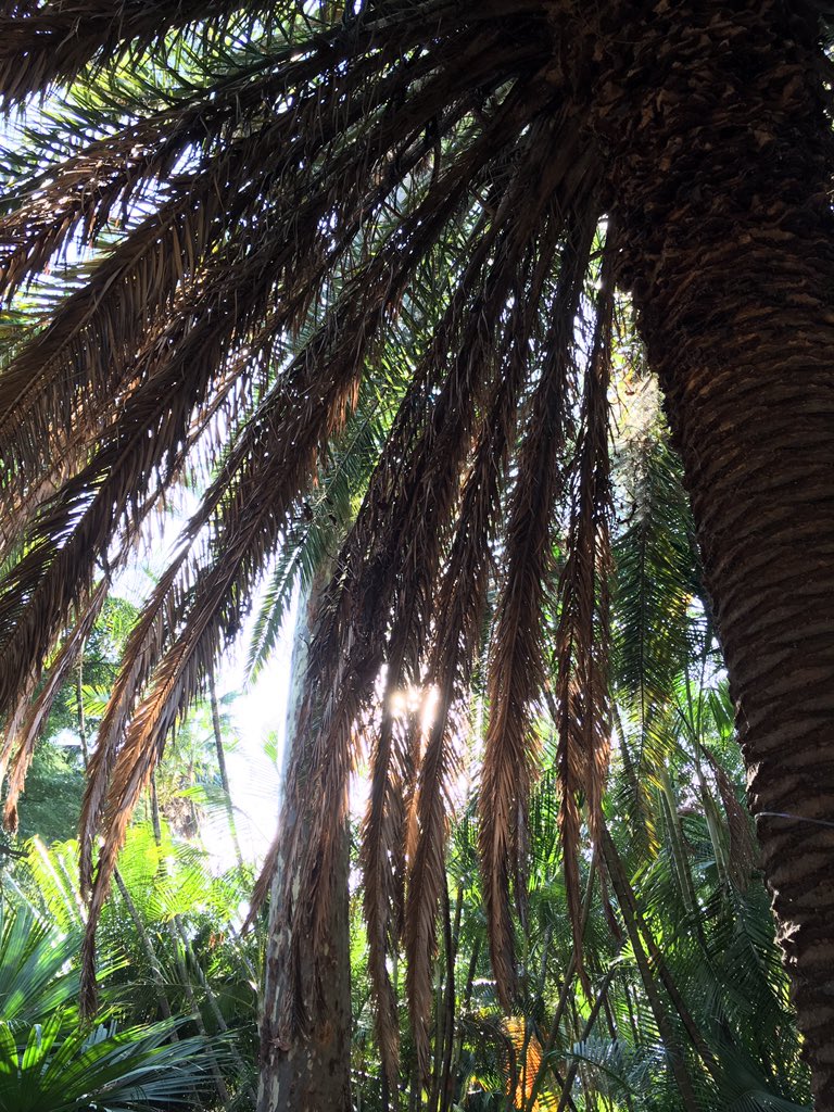 Magnificent Colombia tweet media