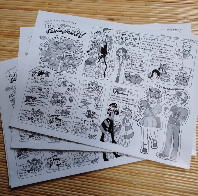 同人誌の整理してたら初めてサークル参加したときに作ったペーパーが出てきた……pkmnです 
