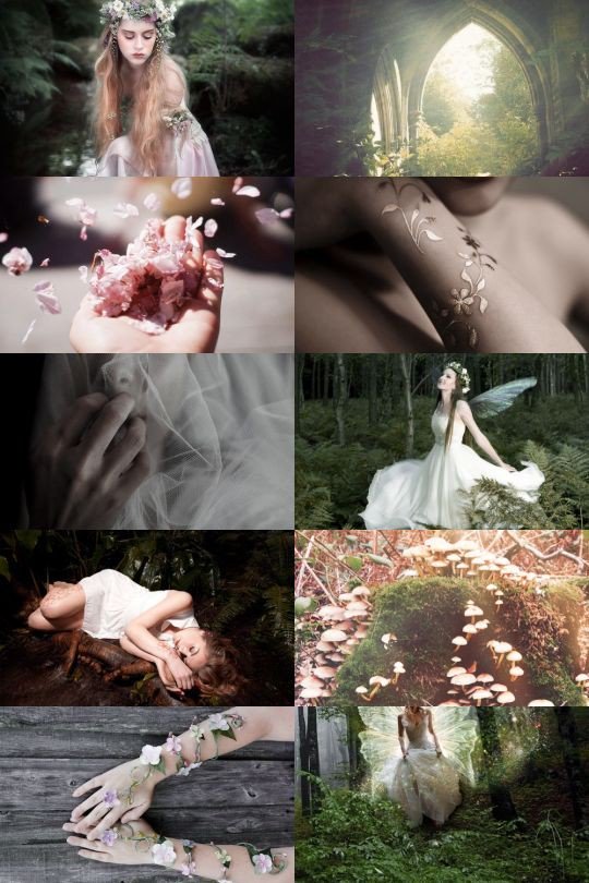 thewitchsmiled's tweet photo. Bit of my aesthetic #fairygodmother #thoughts #fairytale promise this thread is done now 🧚🏻‍♀️ https://t.co/zBqJzoukUy