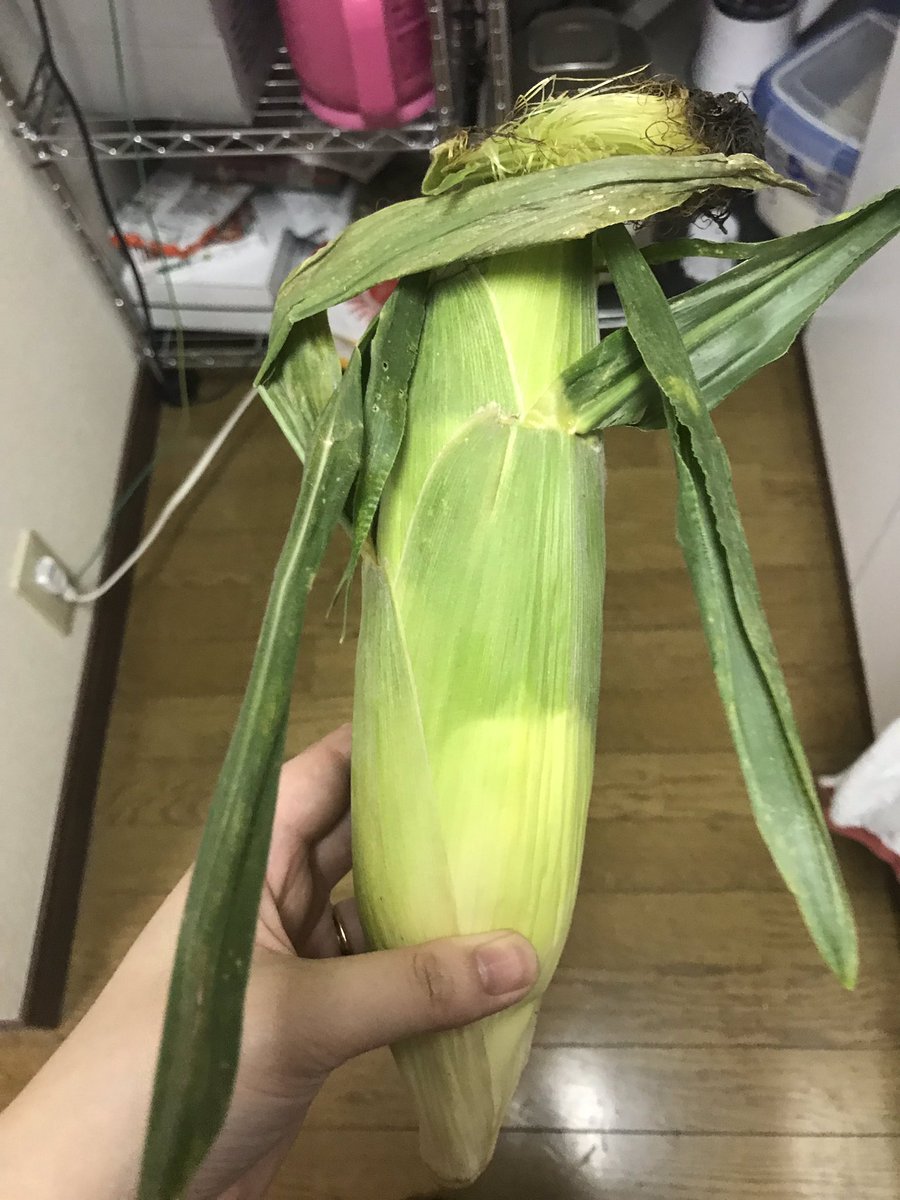 Umi デザイン読書日和 本日開催 昨日代官山のしゃぶしゃぶkintanに行ったら何故か白いトウモロコシお土産で渡されて となったけど茹でて美味しくいただきました