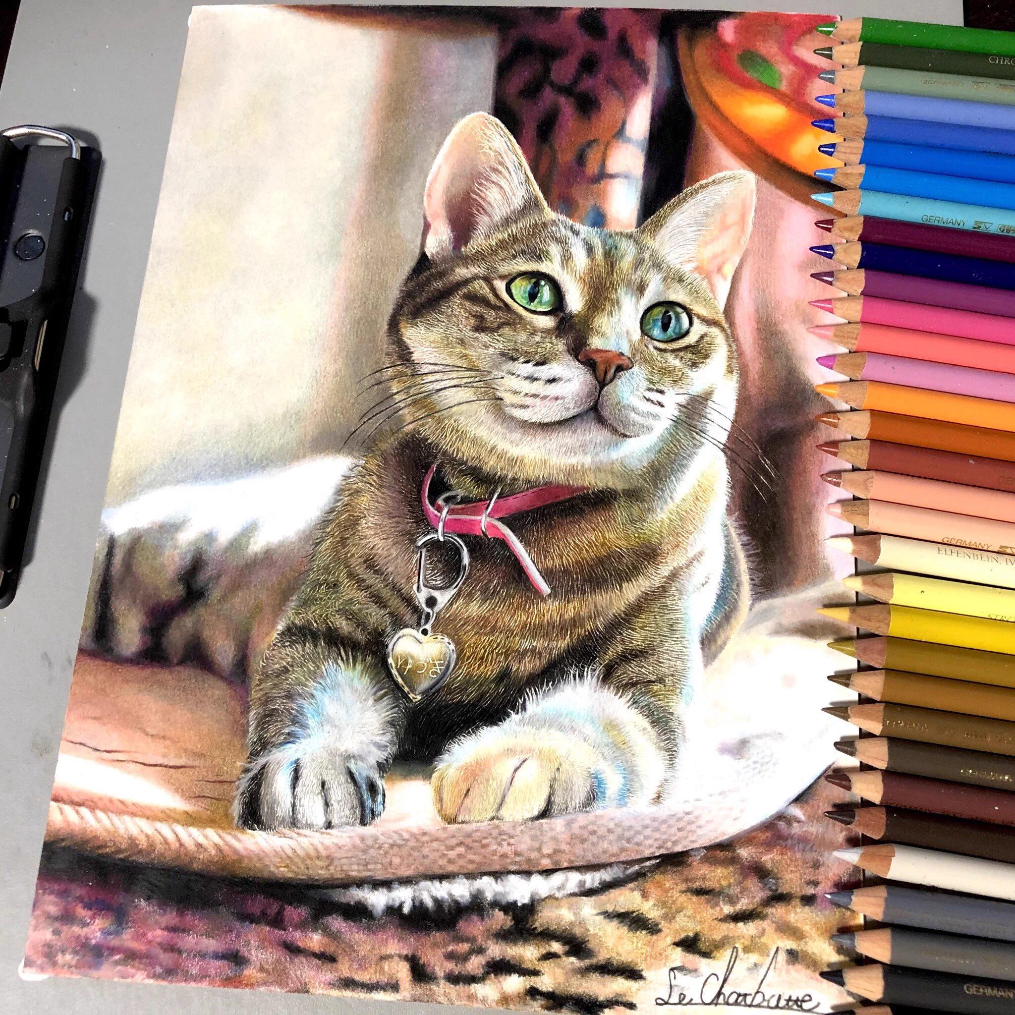 本物よりも本物っぽい？色鉛筆で50時間かけた描かれた猫のイラストが凄すぎる！