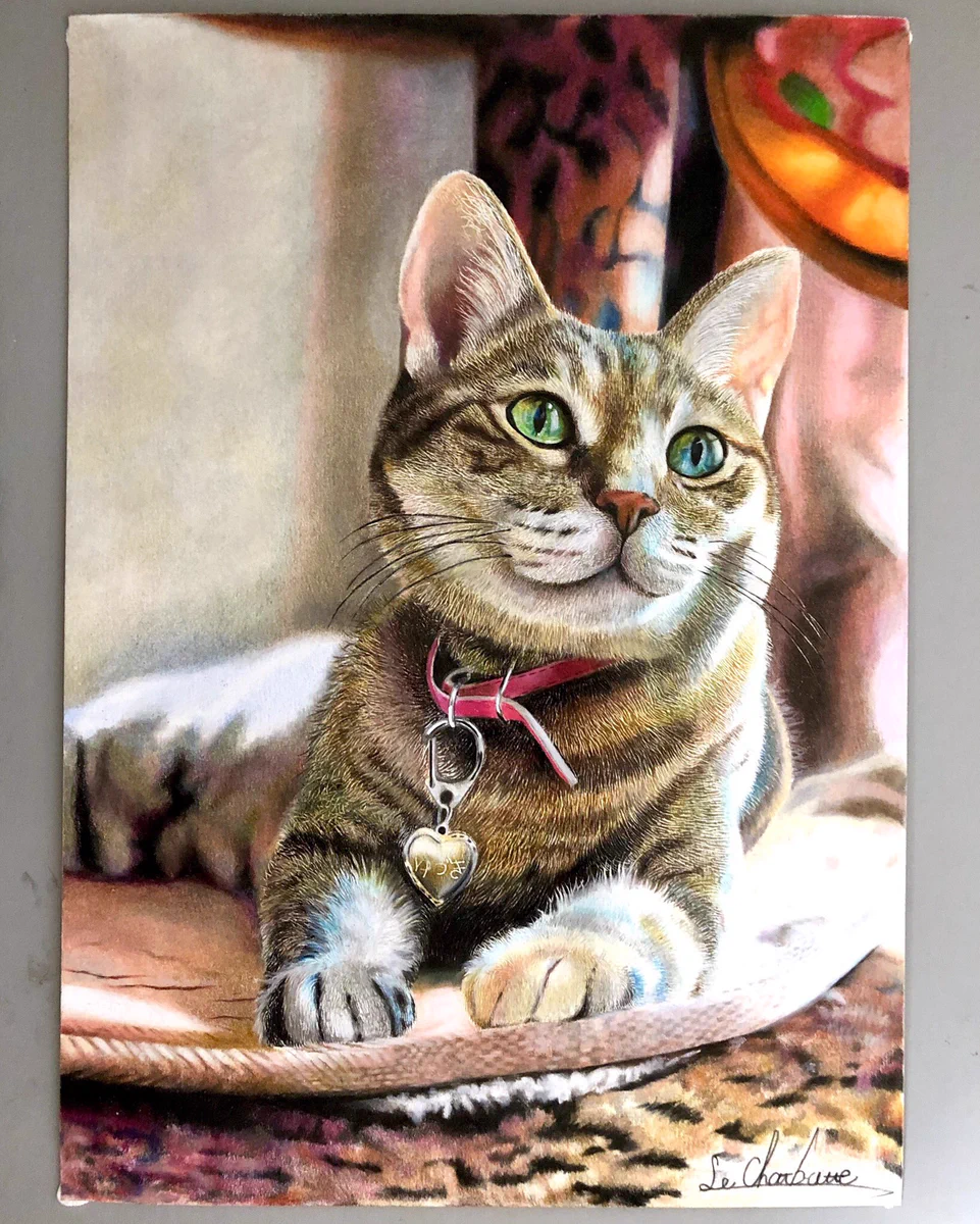 本物よりも本物っぽい？色鉛筆で50時間かけた描かれた猫のイラストが凄すぎる！
